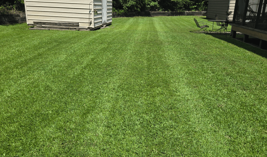 Lawn Care